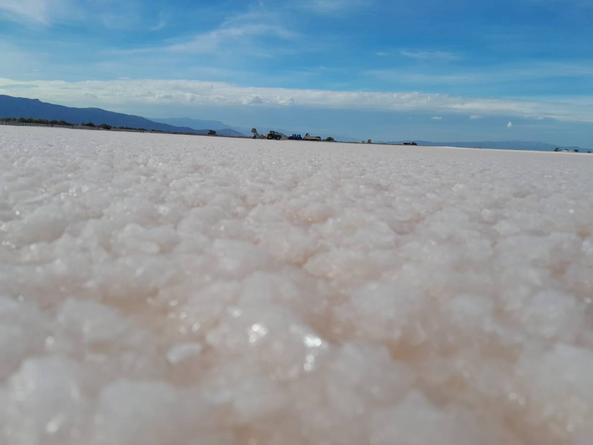 Les salines de la Trinitat, una mirada&nbsp;enrere